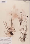 000000224-thumbnail.jpg