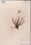 000000225-thumbnail.jpg