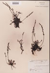 000000229-thumbnail.jpg