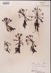 000000230-thumbnail.jpg