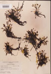 000000231-thumbnail.jpg