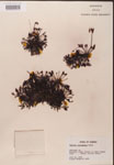 000000234-thumbnail.jpg