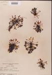 000000235-thumbnail.jpg