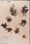 000000236-thumbnail.jpg