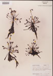 000000241-thumbnail.jpg
