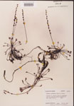 000000242-thumbnail.jpg