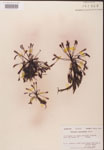 000000246-thumbnail.jpg
