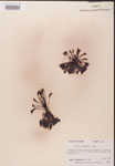 000000248-thumbnail.jpg