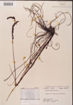000000257-thumbnail.jpg