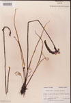 000000258-thumbnail.jpg