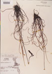 000000261-thumbnail.jpg
