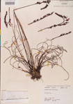000000264-thumbnail.jpg