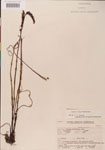 000000265-thumbnail.jpg