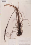 000000266-thumbnail.jpg