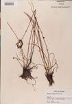 000000269-thumbnail.jpg