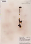 000000280-thumbnail.jpg