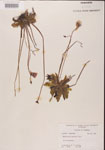 000000286-thumbnail.jpg