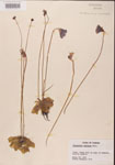 000000287-thumbnail.jpg
