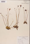000000288-thumbnail.jpg