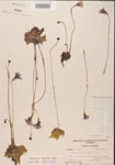 000000289-thumbnail.jpg