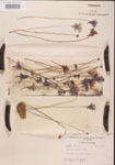 000000290-thumbnail.jpg
