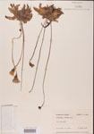 000000292-thumbnail.jpg