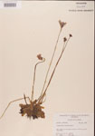 000000293-thumbnail.jpg