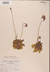 000000296-thumbnail.jpg