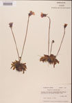 000000297-thumbnail.jpg