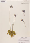 000000298-thumbnail.jpg
