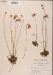 000000299-thumbnail.jpg