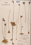 000000302-thumbnail.jpg