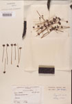 000000307-thumbnail.jpg