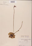 000000308-thumbnail.jpg