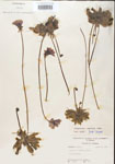 000000315-thumbnail.jpg