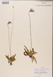 000000319-thumbnail.jpg