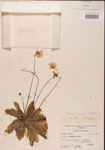 000000321-thumbnail.jpg