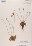 000000322-thumbnail.jpg