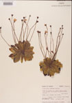 000000323-thumbnail.jpg