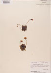 000000324-thumbnail.jpg