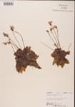 000000325-thumbnail.jpg