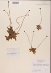 000000326-thumbnail.jpg