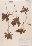 000000327-thumbnail.jpg