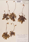 000000330-thumbnail.jpg