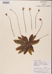 000000331-thumbnail.jpg
