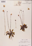 000000332-thumbnail.jpg