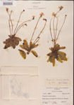000000334-thumbnail.jpg