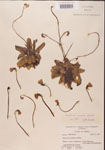 000000336-thumbnail.jpg