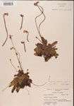 000000337-thumbnail.jpg