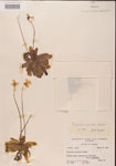 000000341-thumbnail.jpg